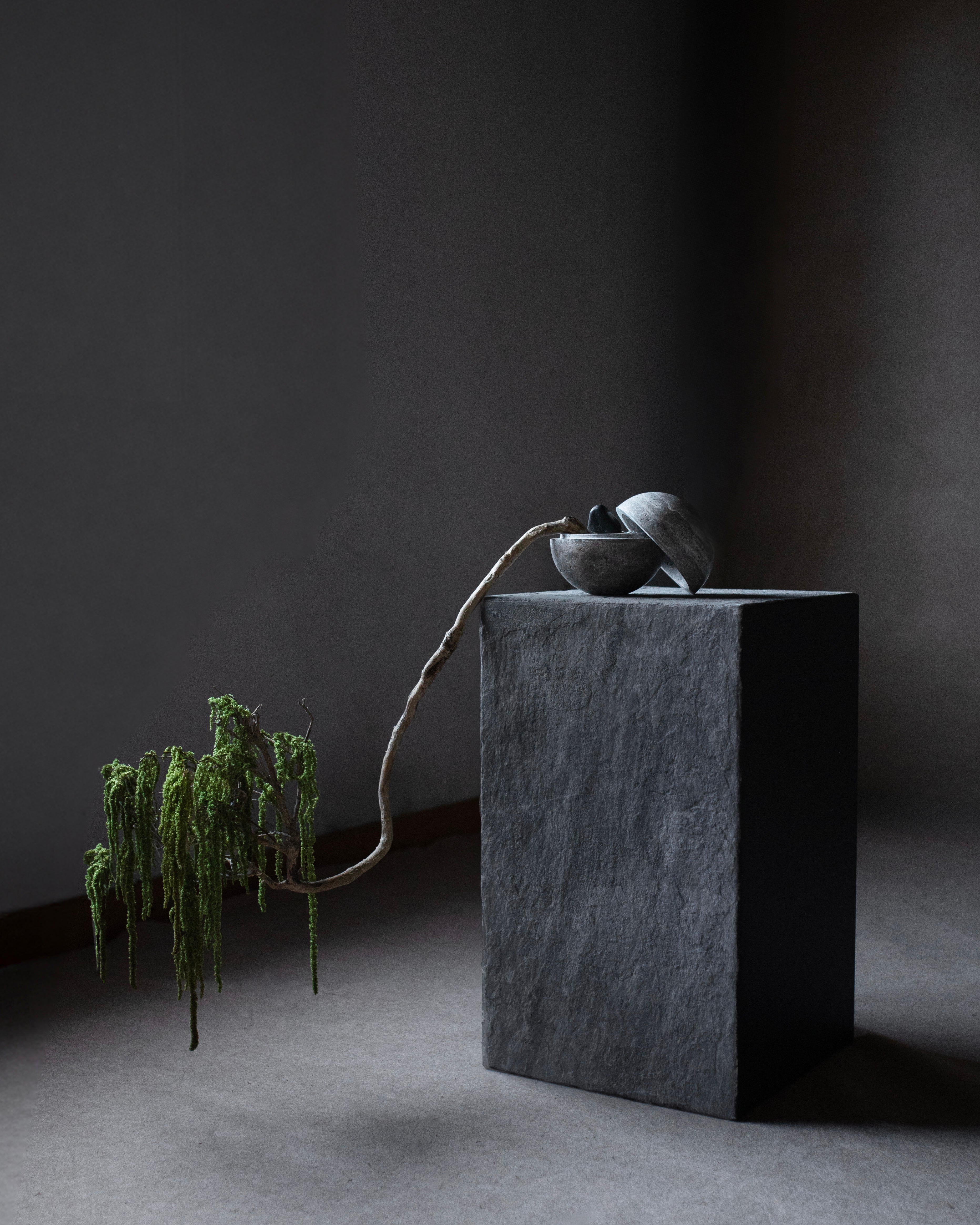Decorative plant and stone sculpture on a dark pedestal against a dark background