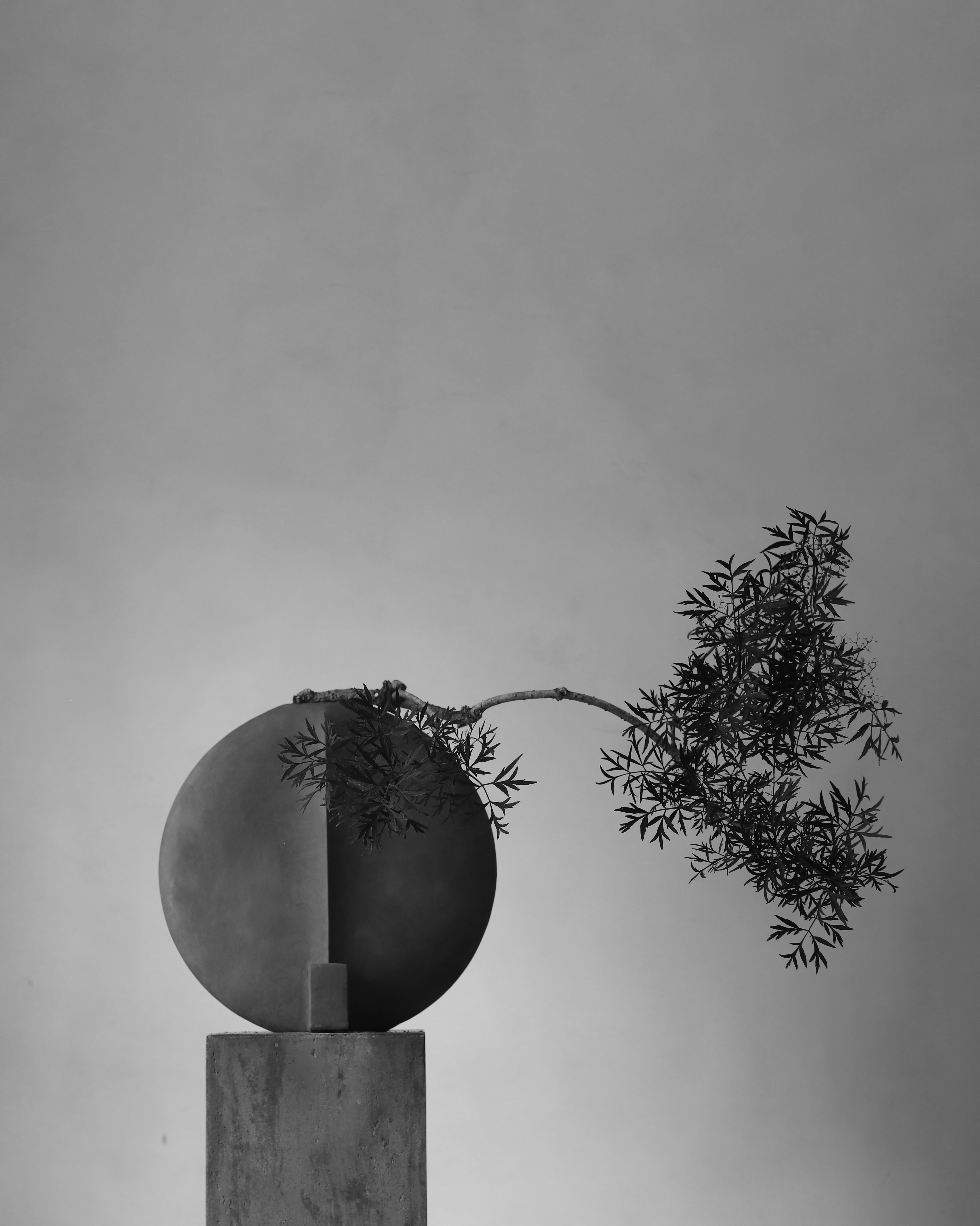 Abstract sculpture with a plant against a gray background. Guggenheim Vase by 101 CPH curated by Numa Home