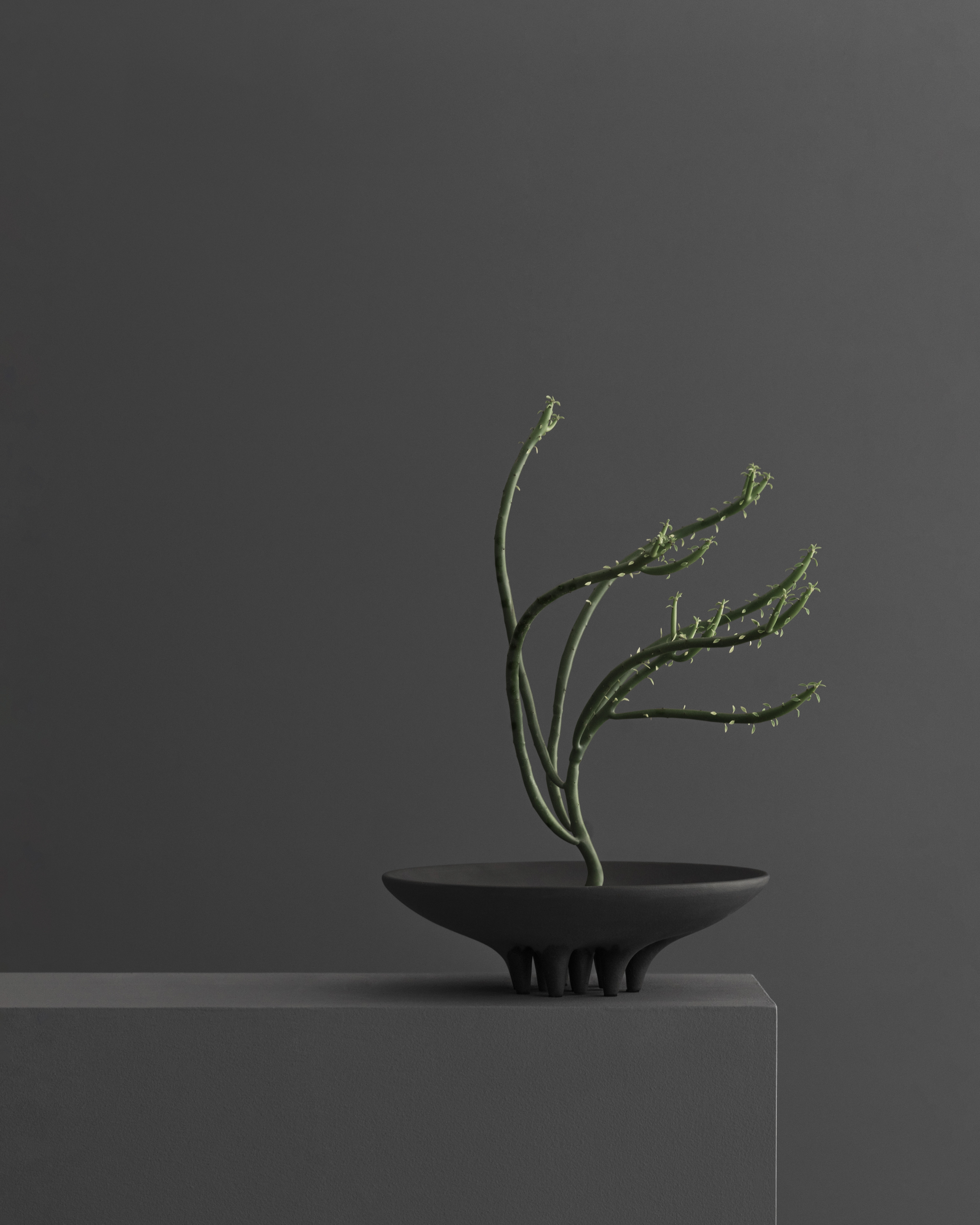 Hand-glazed ceramic tray with jellyfish-inspired form, Coffee tone – 101 Copenhagen.