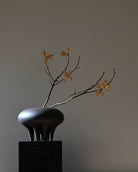 Decorative vase with a branch and small flowers on a plain background. Medusa Vase, Big by 101 Copenhagen. Sculptural ceramic vase with soft oval shapes and small conical legs, hand-glazed in Coffee. Curated by Numa Home for calm, modern interiors.
